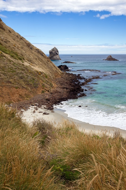 Vista de Sandfly Bay en la Isla Sur de Nueva Zelanda