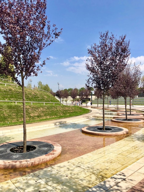 Foto vista del sendero en el parque contra el cielo