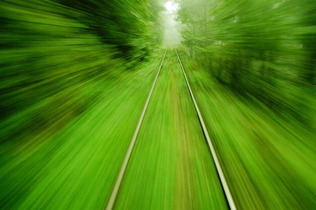 Vista del sendero desde un tren en movimiento con larga exposición