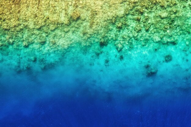 Vista sobre el arrecife de coral Fondo de agua azul desde la vista superior Paisaje marino de verano desde el aire Imagen de viajes y vacaciones