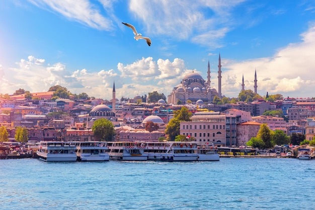 Vista sobre el distrito de Eminonu y la Mezquita de Suleymaniye desde el Bósforo Estambul Turquia