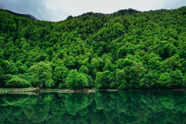 Vista sobre el lago de montaña de Bethmale y el reflejo verde en el agua en los Pirineos franceses