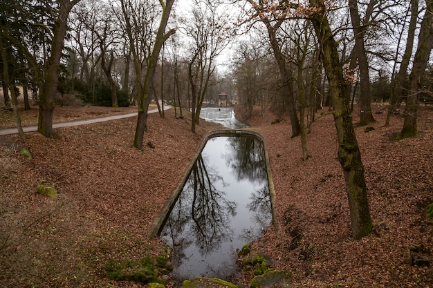 Vista sobre el lago en el parque de otoño en día nublado