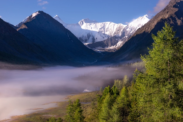 La vista sobre la montaña Belukha en las montañas de Altai