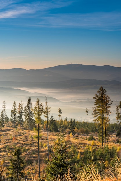 Vista sobre o vale nas altas montanhas Tatra com neblina matinal de outono