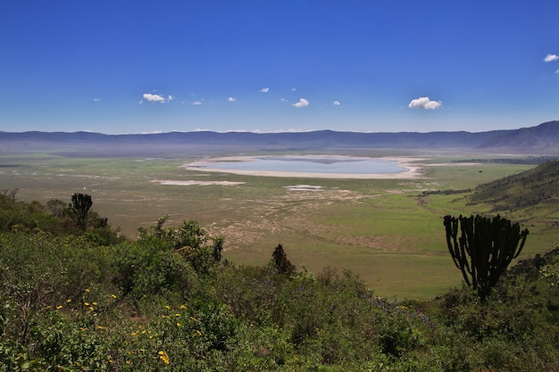 La vista sobre el parque nacional de Ngorongoro en Tanzania