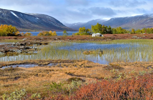 Vista sobre plantas coloridas de outono crescendo à beira da água com fundo de montanhas na noruega
