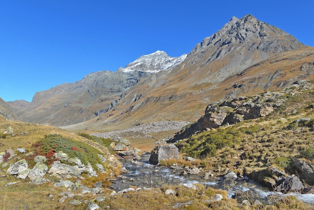 Vista sobre un río en un valle en el Parque Nacional alpino en Francia con fondo de pico de montaña bajo un cielo azul