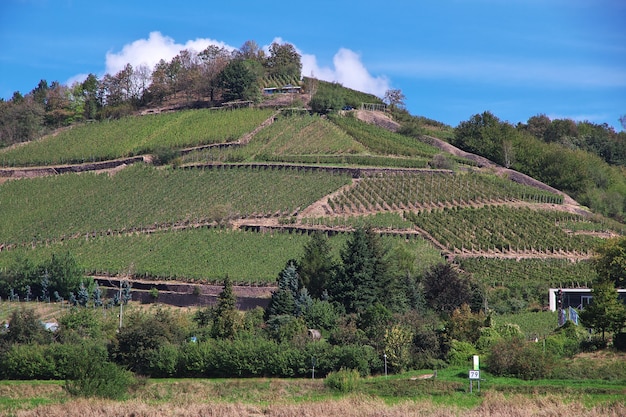 La vista sobre el valle del río Elba en Sajonia Alemania