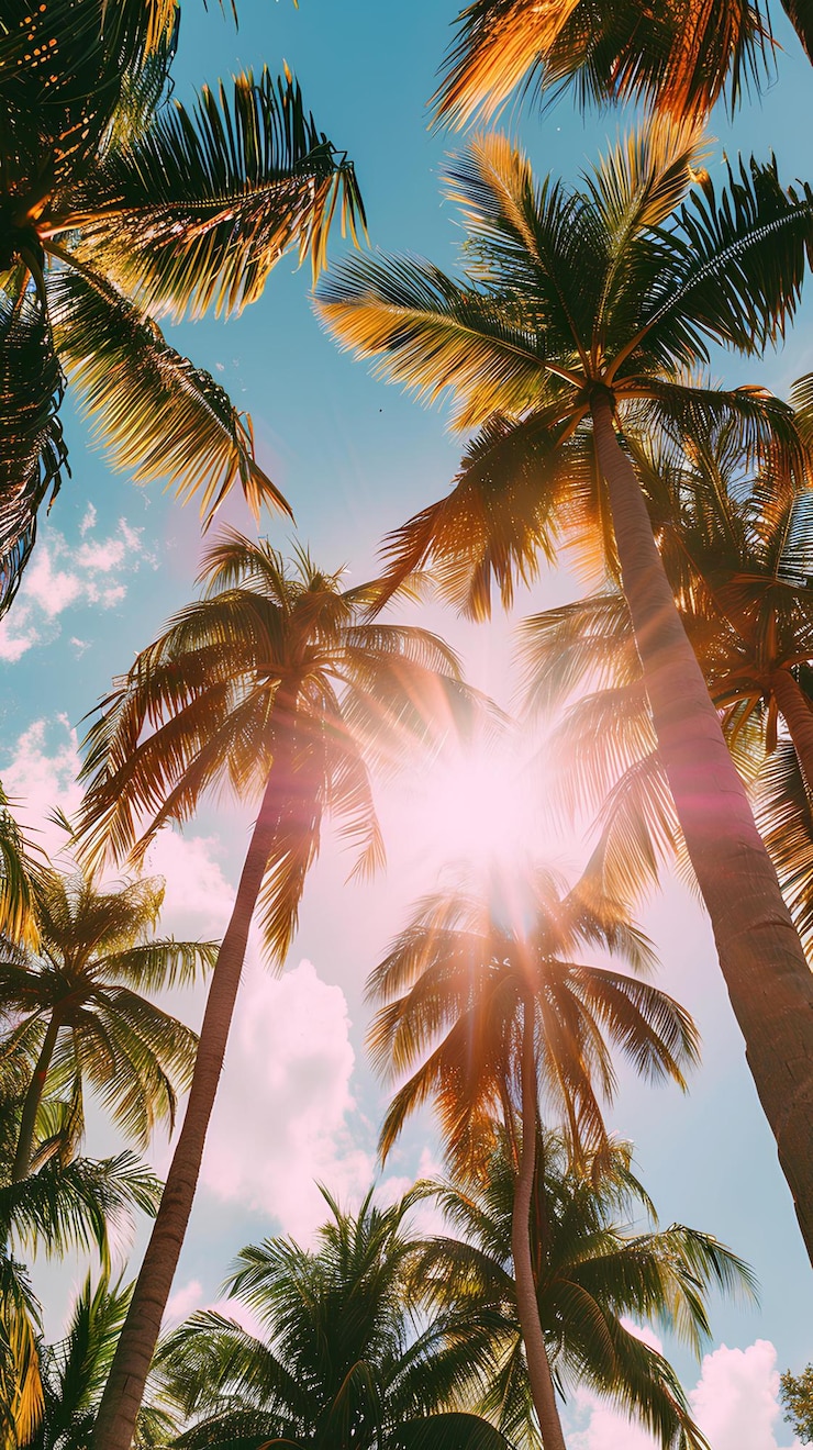 Foto una vista del sol a través de las palmeras en el entorno tropical de un balneario en filipinas