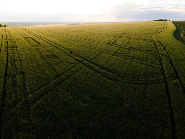 Vista superior aérea de un campo de agricultura sin fin