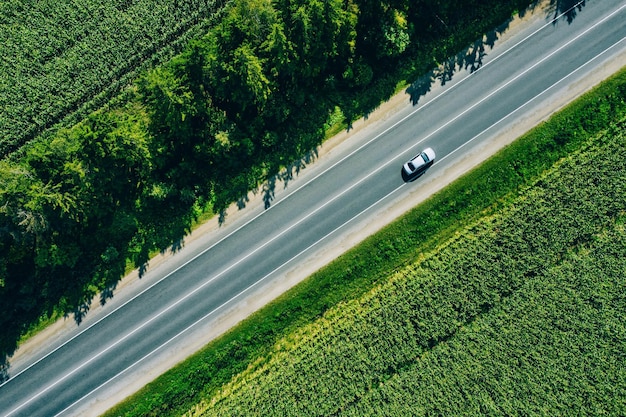 Vista superior aérea de una carretera asfaltada rural a través de un campo de maíz verde en verano