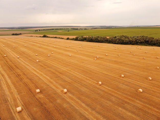 Vista superior aérea de la cosecha de trigo rollos de paja en el campo