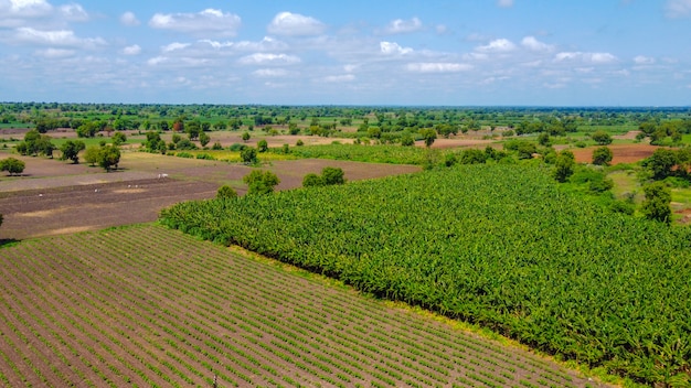 Vista superior aérea do campo da agricultura