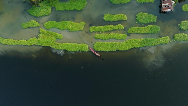 Vista superior aérea gloria de la mañana y bote de cola larga en la orilla del río