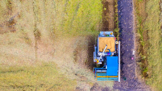 Vista superior aérea de la máquina cosechadora trabajando en el campo de arroz desde arriba