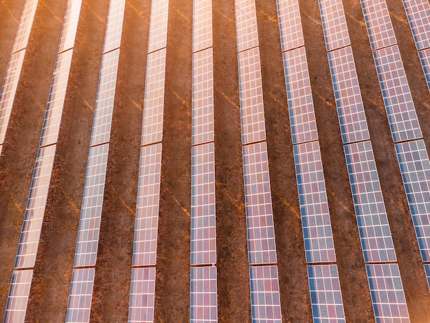Vista superior aérea de una planta de energía de paneles solares Paneles solares fotovoltaicos al amanecer y al atardecer en el campo desde arriba Tecnología moderna cuidado del clima concepto de energía renovable para el ahorro de la tierra