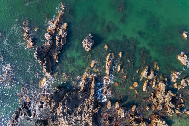 Vista superior aérea en la playa tropical con palmeras verdes bajo la luz del sol Vista de drones en Goa