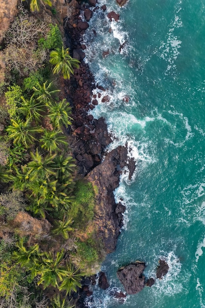 Vista superior aérea en la playa tropical con palmeras verdes bajo la luz del sol Vista de drones en Goa
