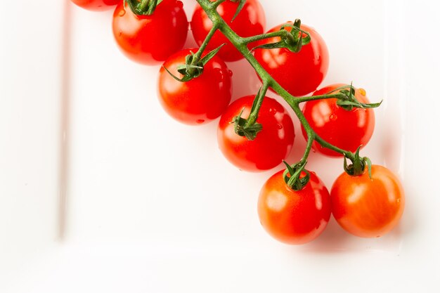 Vista superior aislada de la rama de tomates cherry sobre la superficie del plato blanco y con aspecto maduro y limpio