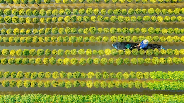 Vista superior La aldea de flores de Sa Dec en la provincia de Dong Thap la gente está cuidando de las flores para Tet Esta es la aldea más antigua especializada en el cultivo de flores en Vietnam
