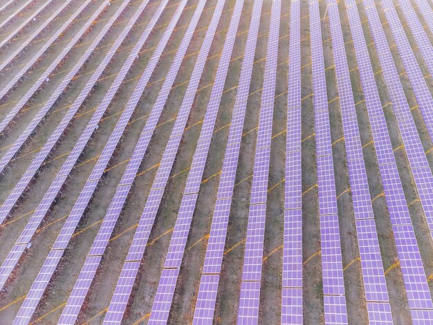 Vista superior de la antena de una planta de energía de paneles solares paneles solares fotovoltaicos al amanecer y al atardecer en