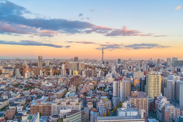 Vista superior del área del horizonte de la ciudad de Tokio (Shinjuku y Shibuya) con una hermosa puesta de sol en Japón.