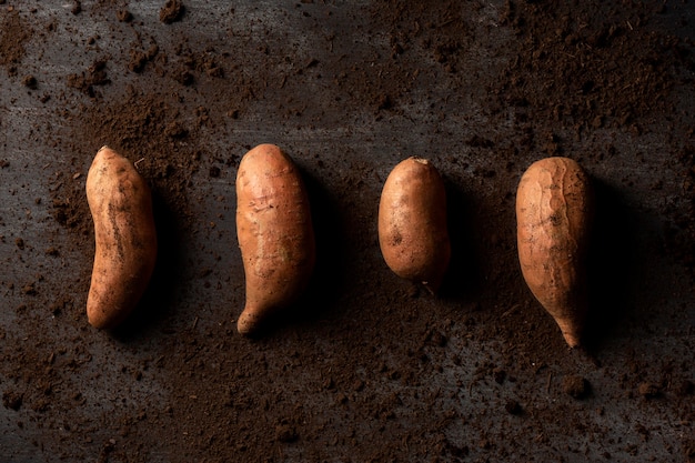 Foto vista superior de batatas en tierra