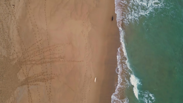 Vista superior bela praia com areia dourada lavada por cães do oceano espumosos correndo