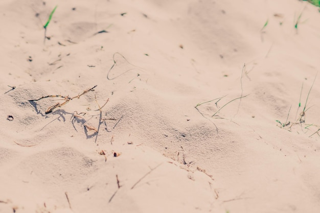 Vista superior Blur Sand en la duna de la playa con manchas de sombras de hierba seca textura de enfoque suave Fondo para diseño web papel tapiz protector de pantalla Foto tonificada beige
