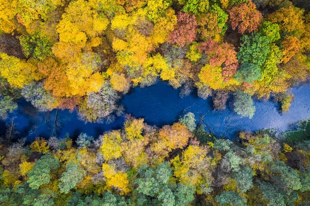 Vista superior del bosque colorido y el río en otoño