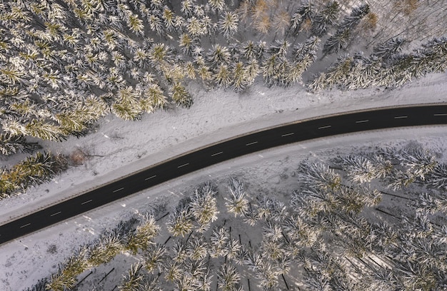 Vista superior del bosque de invierno y la carretera al atardecer