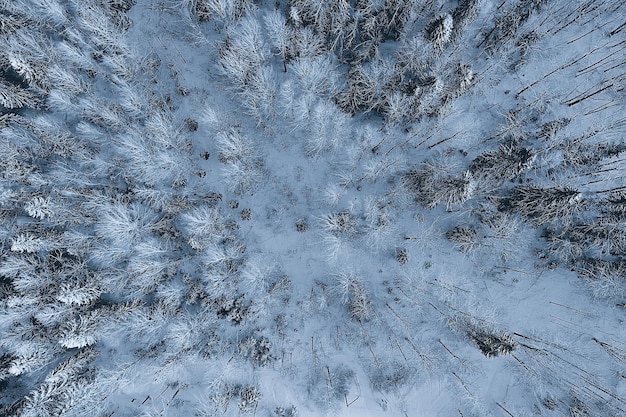 vista superior de un bosque en invierno, paisaje de la naturaleza en un bosque nevado, aero foto