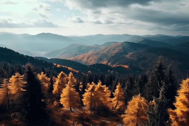 Vista superior del bosque de otoño Los árboles amarillos dejan el bosque y las montañas