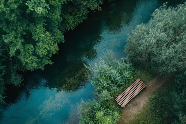 vista superior de un bosque de río en las orillas de una madera