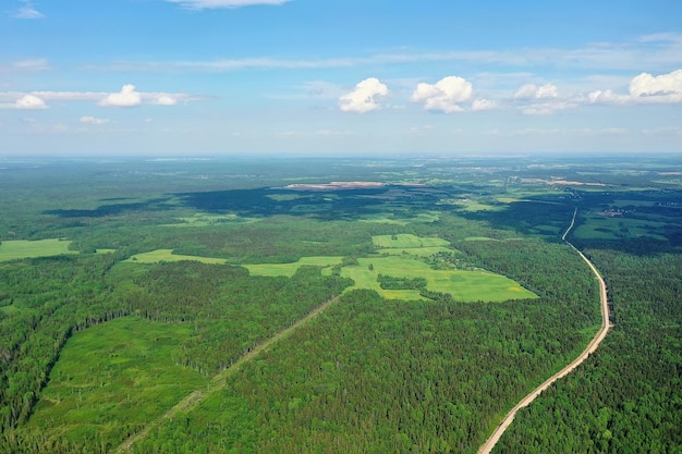 vista superior del bosque, vista panorámica del paisaje del bosque de verano con vista aérea de quadrocopter