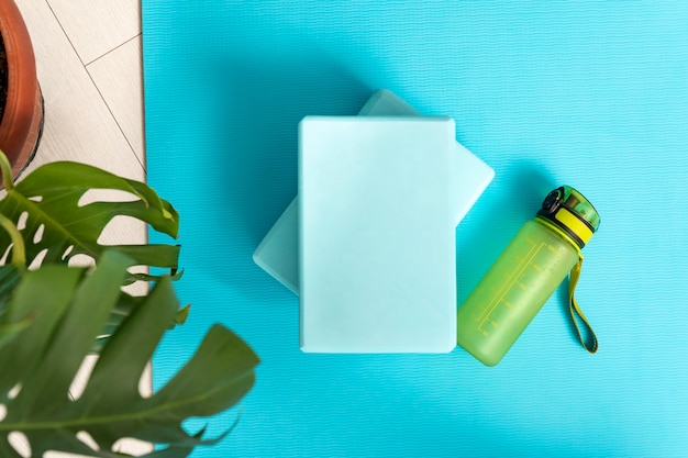 Vista superior de la botella de estera de yoga bluey con ladrillos de yoga de agua y planta verde Entrenamiento en casa Equipo de fitness Vista superior