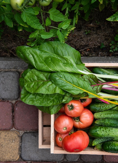 Foto vista superior de una caja de madera con verduras orgánicas recién cosechadas cultivadas en una granja ecológica agricultura plana