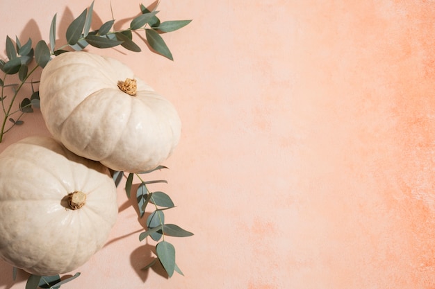 Foto vista superior de calabazas blancas y espacio de copia