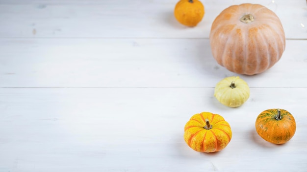 Foto vista superior de calabazas decorativas sobre fondo blanco de madera