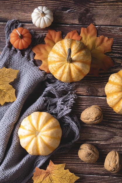 Vista superior de calabazas frescas, nueces y hojas de otoño sobre una manta gris