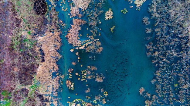 Foto vista superior de un campo con arbustos de hierba y un estanque vista desde el patrón de aire