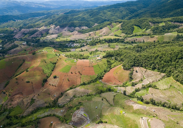 Vista superior del campo de arroz en terrazas en Mae Cham Chiangmai, en el norte de Tailandia