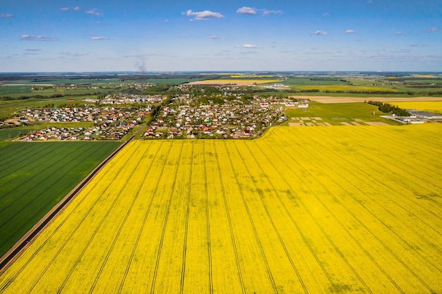 Vista superior del campo de colza amarillo y el pueblo.