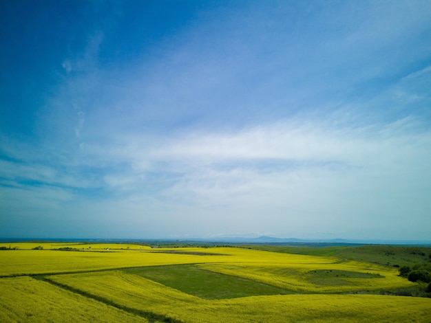 Vista superior del campo con colza y campo con hierba contra el cielo azul