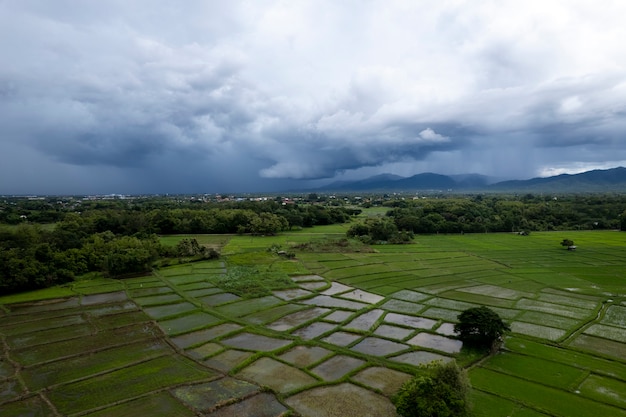 Vista superior campo de arroz em socalcos em chiangmai, norte da tailândia