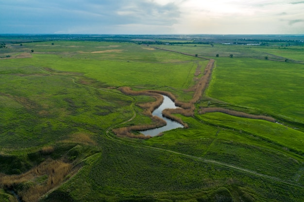 vista superior del campo verde