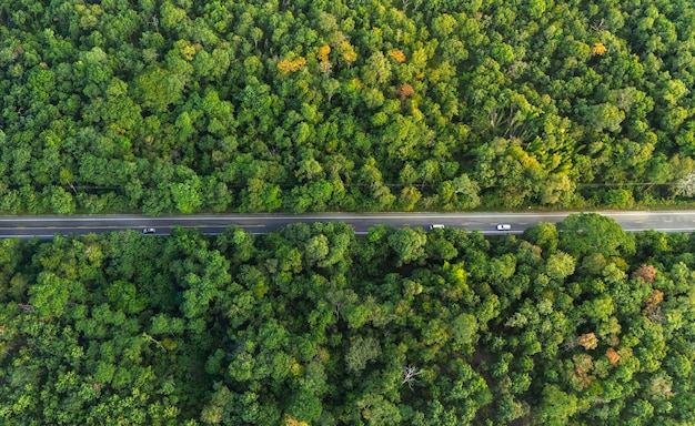 Foto vista superior de la carretera y el coche forestal que atraviesa el bosque vista desde arriba