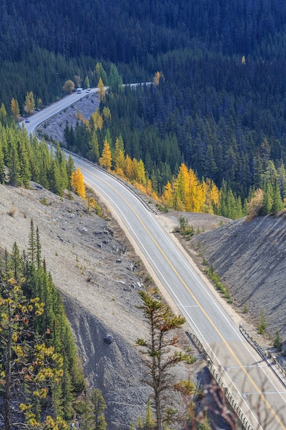 Vista superior de la carretera que pasa por Icefields Parkway en otoño de las Montañas Rocosas de Alberta