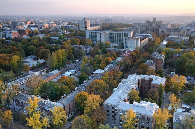 Vista superior de una casa moderna de gran altura con árboles amarillentos en un cálido día de otoño